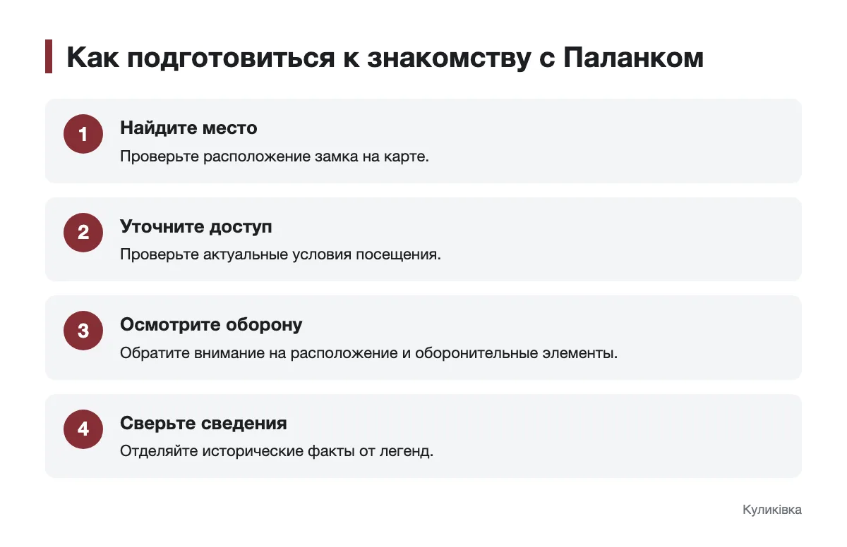 Инфографика с шагами подготовки к осмотру Паланка